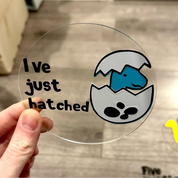 Dinosaur Baby Milestone Discs - Picture 6 of 6